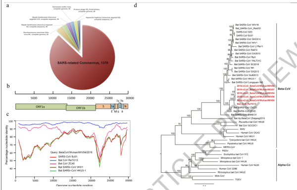 《自然》发表新冠论文：确认病毒进入细胞路径
