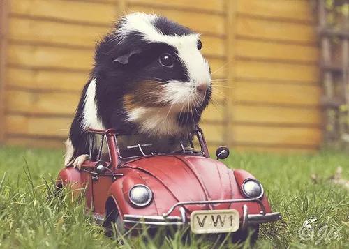 飘啊飘的气溶胶：新冠病毒的超长时空传播途径