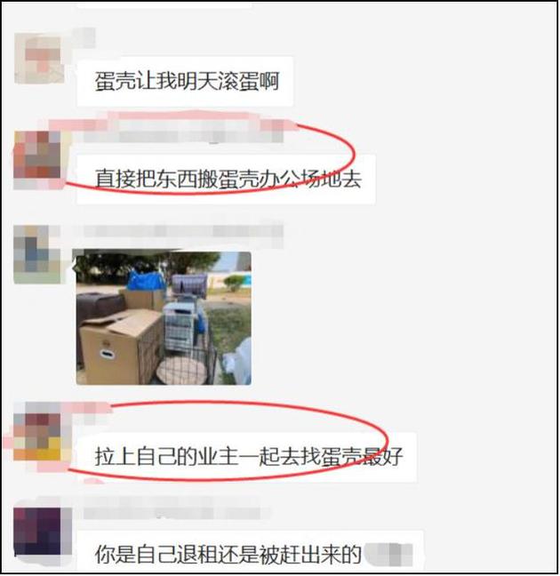 蛋壳公寓惊险闯关40天:谁在说谎 谁在妥协?