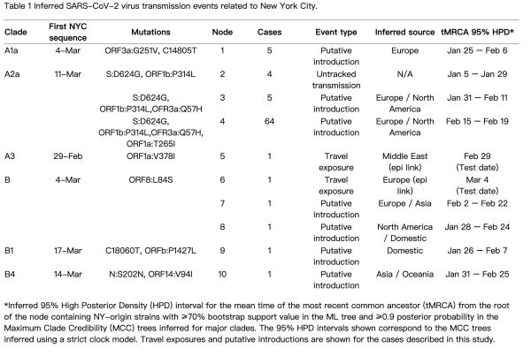 《科学》:纽约新冠病毒主要由欧洲和美洲引入