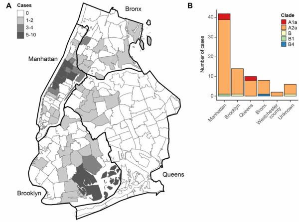 《科学》:纽约新冠病毒主要由欧洲和美洲引入