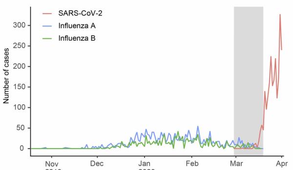 《科学》:纽约新冠病毒主要由欧洲和美洲引入