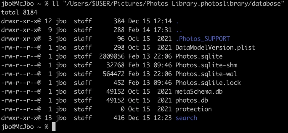 image-7.webp