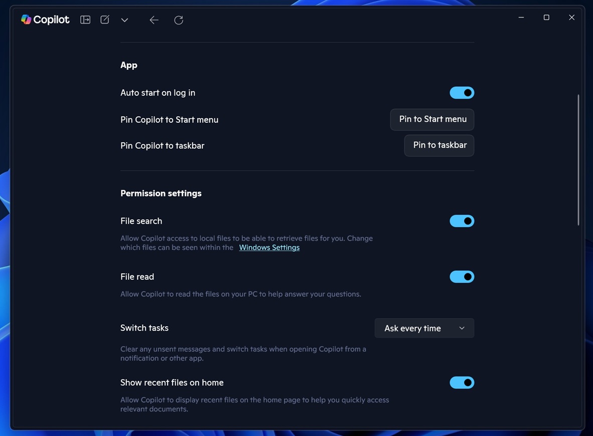 Copilot-files-permission-settings.jpg