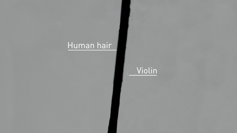 Violin image 1.jpg