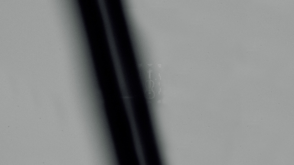 Violin image 2.jpg
