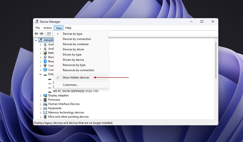 Device-Manager-view-hidden-devices-setting.jpg
