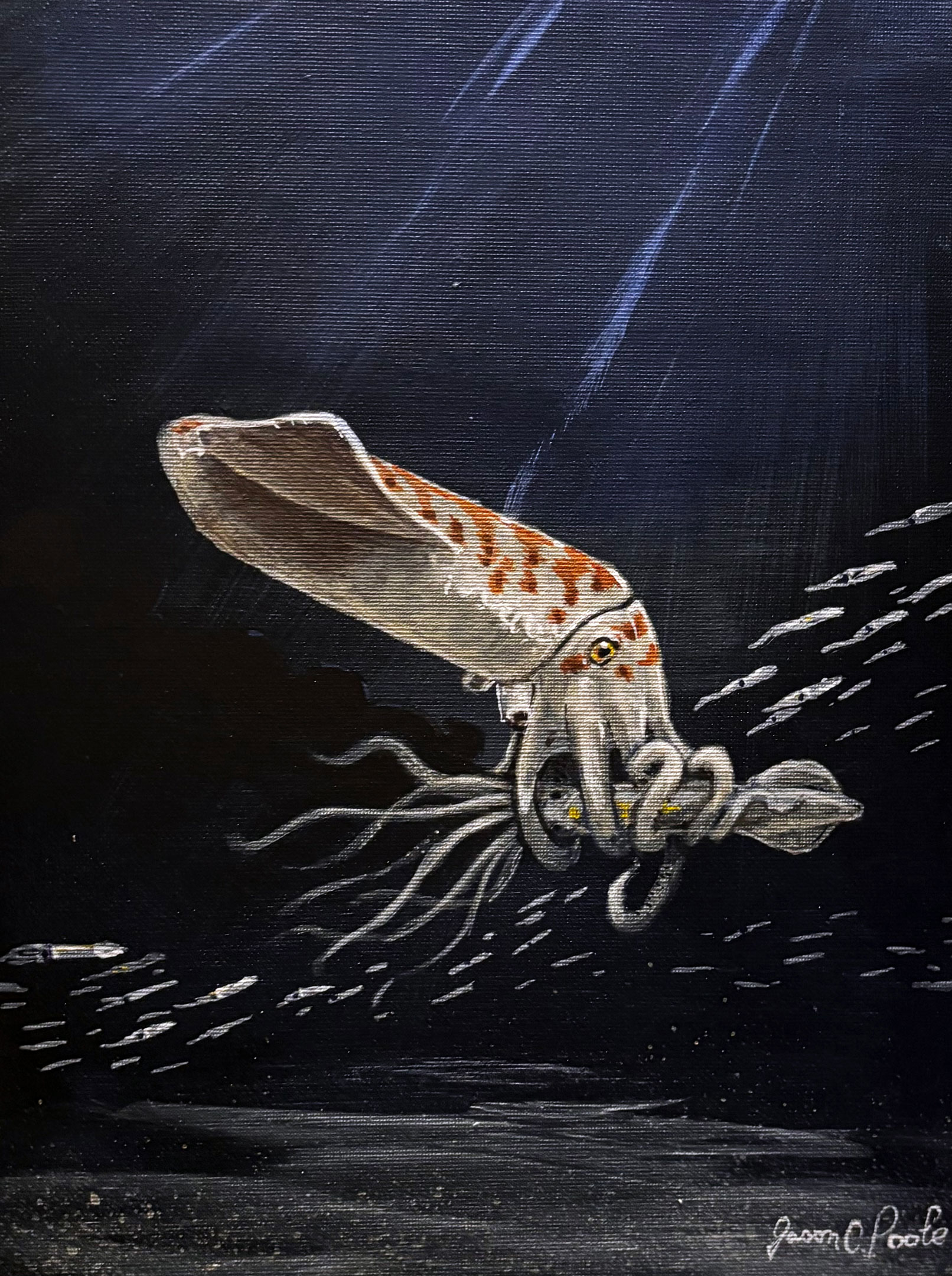 Wyoteuthis-Linsterorum.jpg