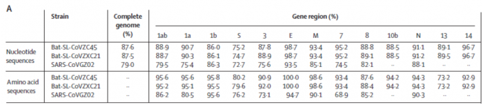 《柳叶刀》谈新冠病毒：蝙蝠冬眠 谁是中间宿主？