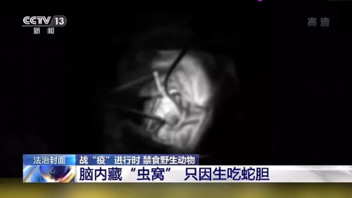 吃野味害人害己 78%人类新发传染病与野生动物有关