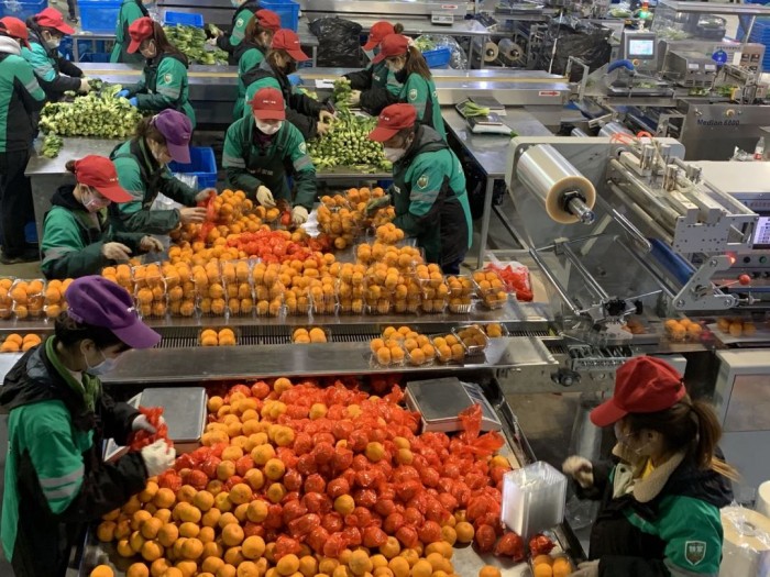 疫情过后，“共享员工”模式还可持续吗？