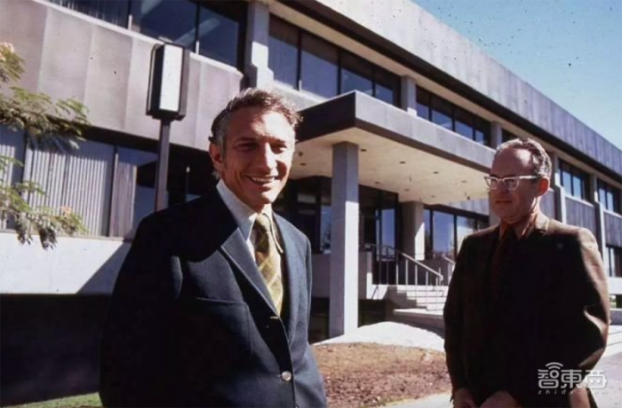 AMD，二十年再次伟大