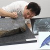 日本首次发现晚三叠世鱼龙化石
