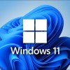 Windows 11更新爆发大规模SSD故障：SanDisk、铠侠等多个品牌受影响  传输文件不要超过50GB
