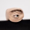 德国团队设计出仿人眼摄像头Eyecam 像真人一样盯着你看