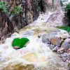 河南嵩山景区石头彩绘“巨型蛇头”因太过逼真已被覆盖