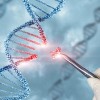 MIT科学家在基因编辑领域又一次实现精准度突破