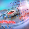 科学家捕捉到物质中极速形成的隐蔽电子态
